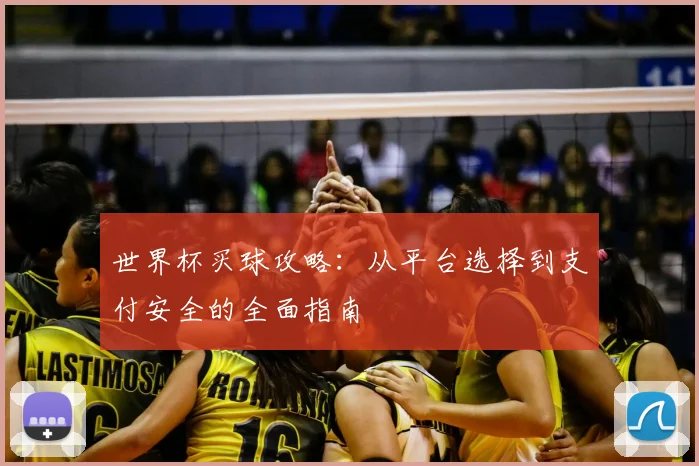 世界杯买球攻略:从平台选择到支付安全的全面指南