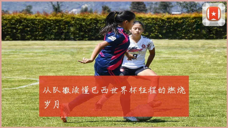 从队徽读懂巴西世界杯征程的燃烧岁月