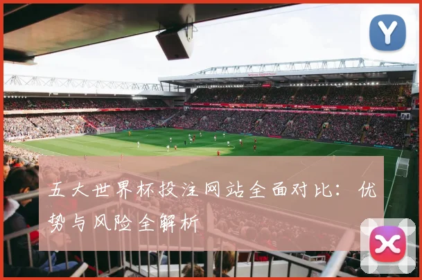 五大世界杯投注网站全面对比:优势与风险全解析