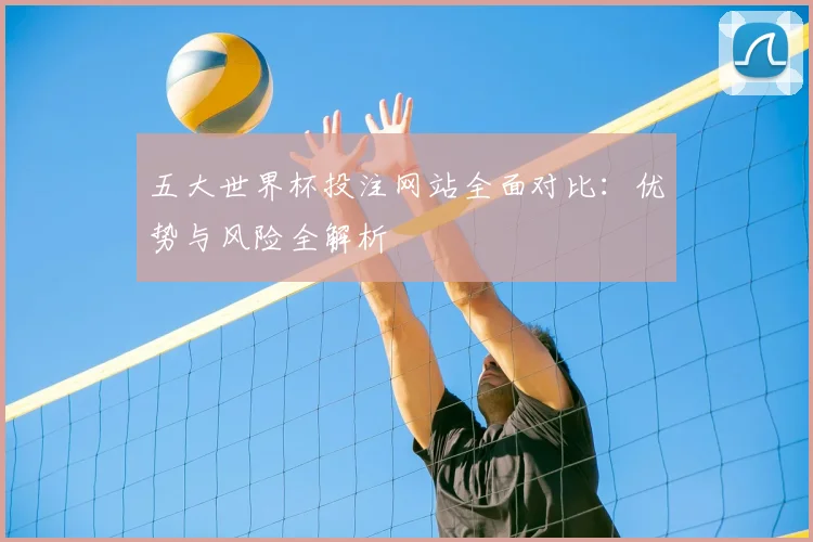 五大世界杯投注网站全面对比:优势与风险全解析