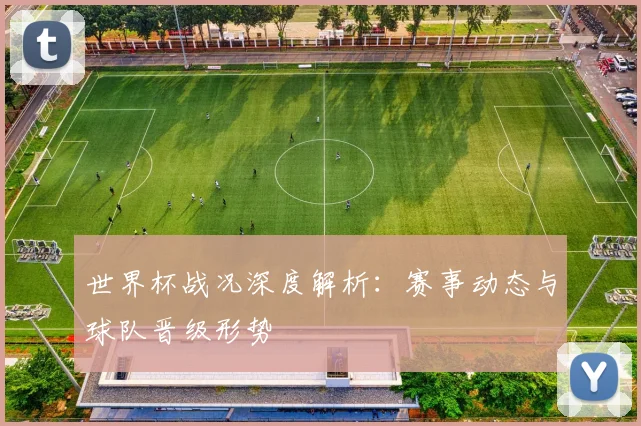 世界杯战况深度解析：赛事动态与球队晋级形势